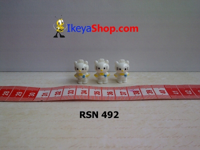 rsn 492  large2